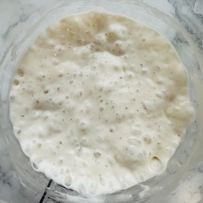 Sourdough Starter