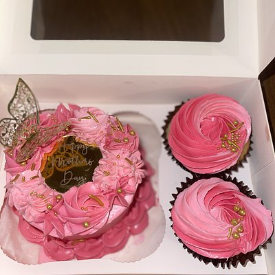 Bento Cake Box 