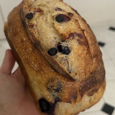 🍋🫐 Lemon & Blueberry Loaf