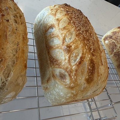 Sourdough Sandwich Loaf! Plain