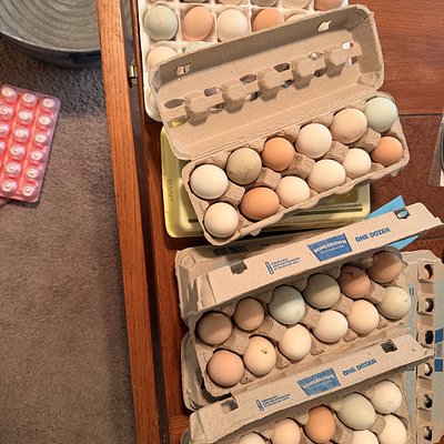 Dozen Unwashed Farm Fresh Eggs