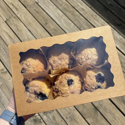 Jumbo Muffins // Sourdough Blueberry Muffins