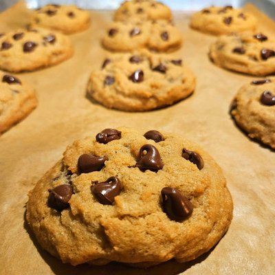Chocolate Chip 