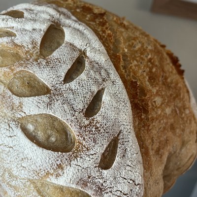 Classic Sourdough