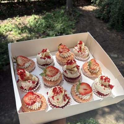 Gourmet Cupcakes 