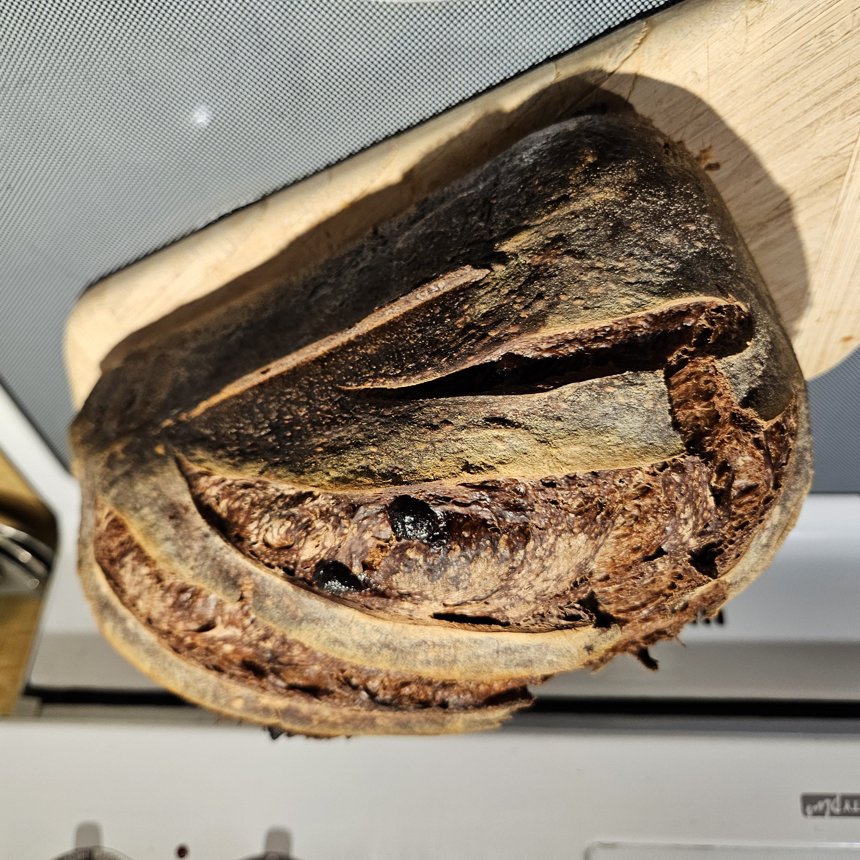 Double Chocolate Sourdough