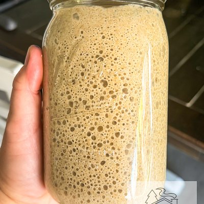 Rye Sourdough starter