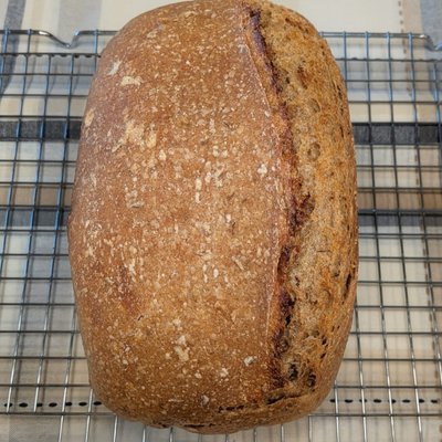 Rye 🌿
