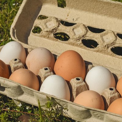 Eggs