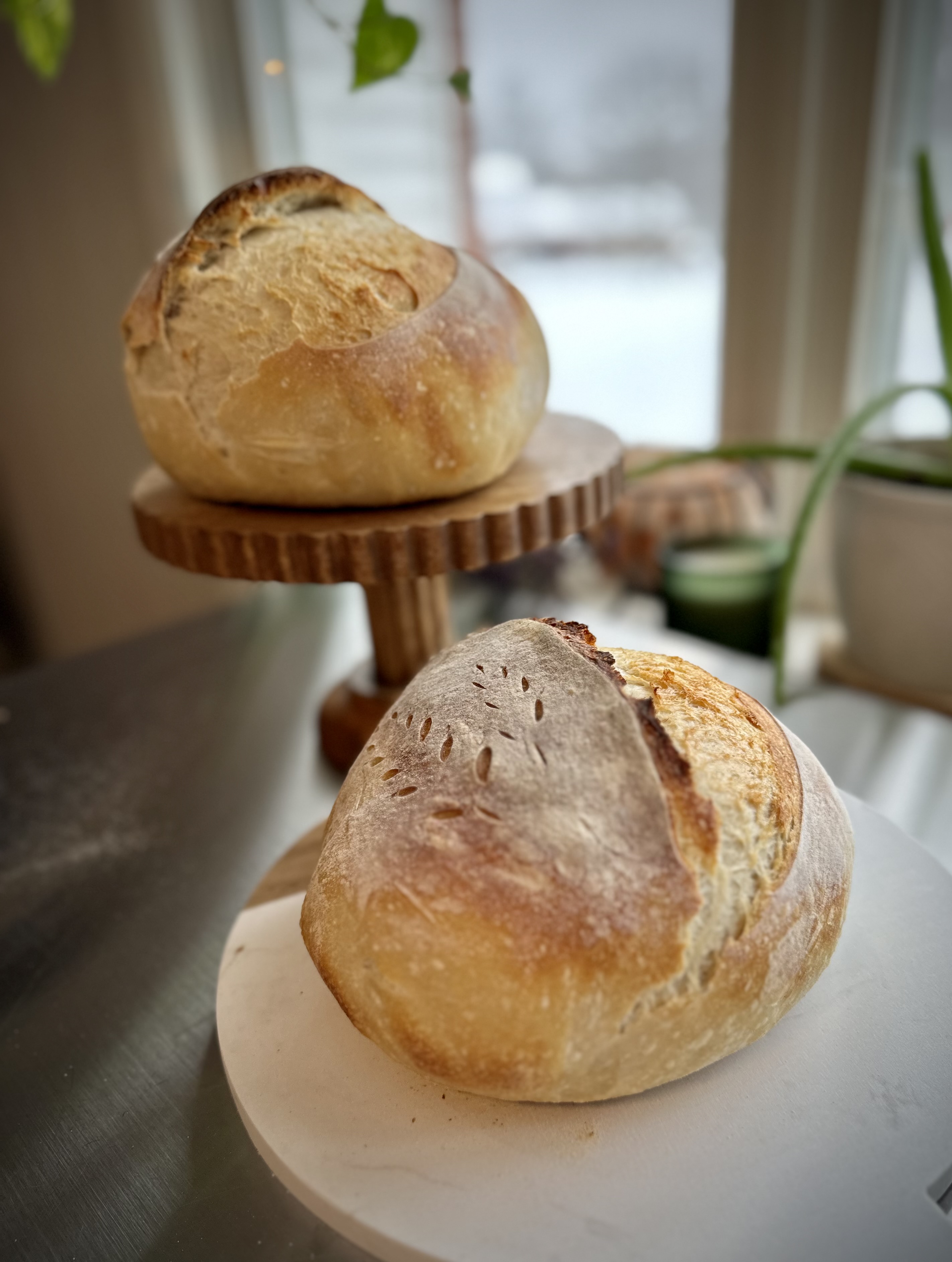 Sourdough Bread