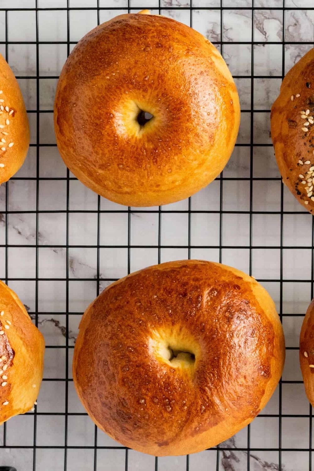 Plain bagels 