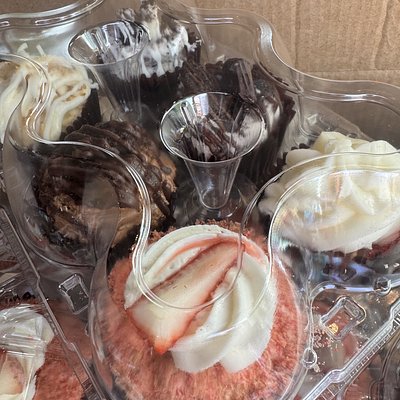 Gourmet Cupcakes-6 Count 