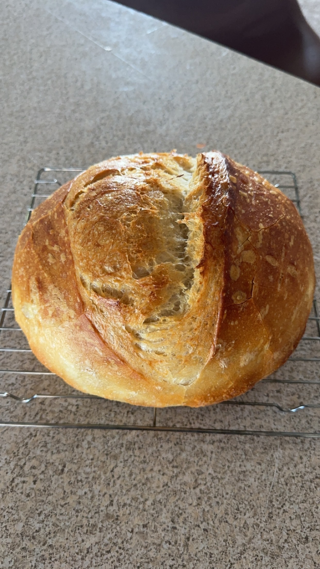 Original Sourdough Bread