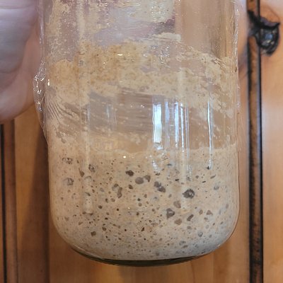 Sourdough Starter 50g