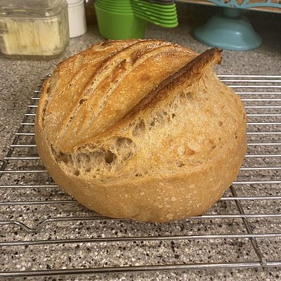 Classic Sourdough 