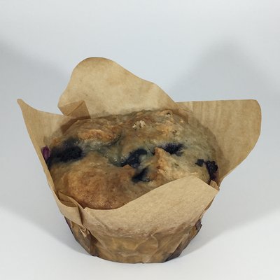 Blueberry Muffin