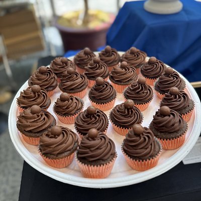Malted Chocolate With Chocolate Malt Buttercream (12ct)