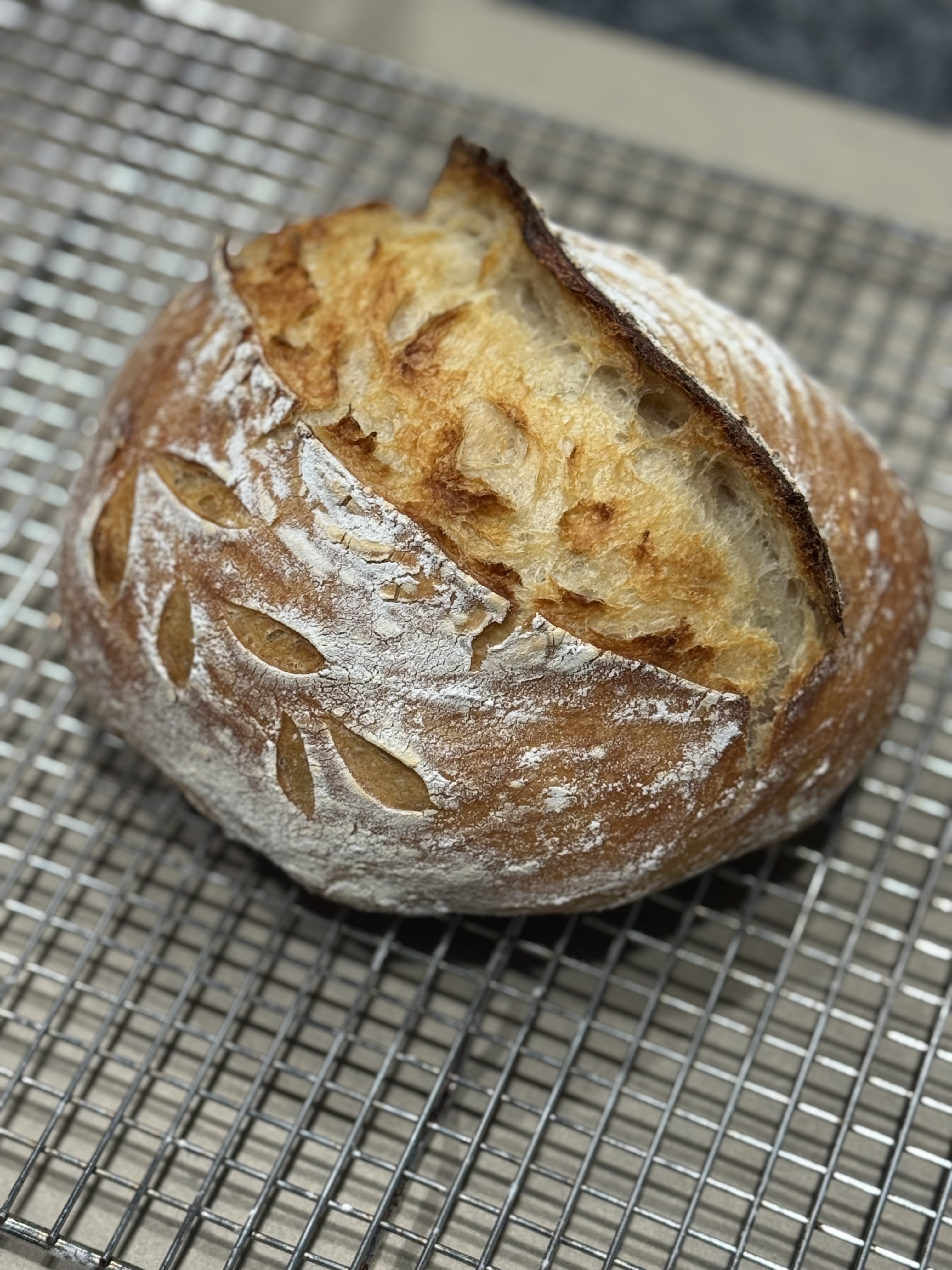 Classic Sourdough (HALF)