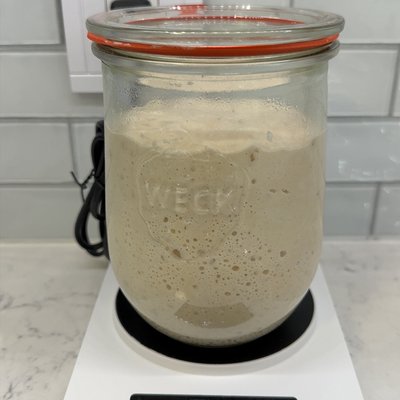 Classic Sourdough Starter 