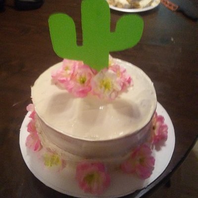 Cactus Design Cake