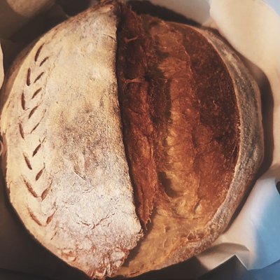 Sourdough Bread