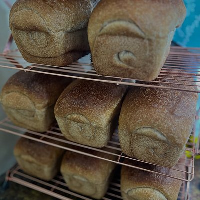 Milk And Honey Sandwich Bread 