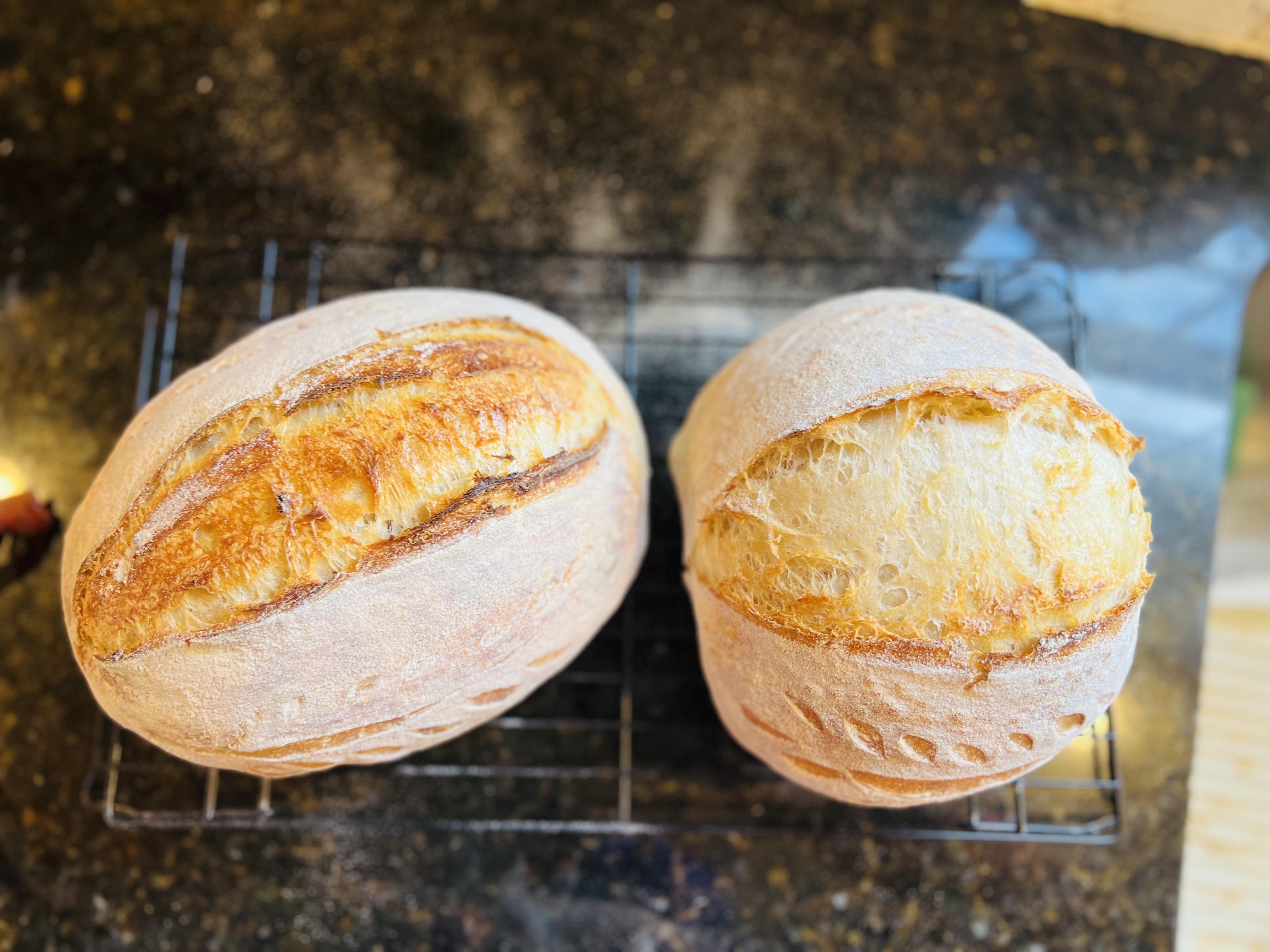 Sourdough Bread