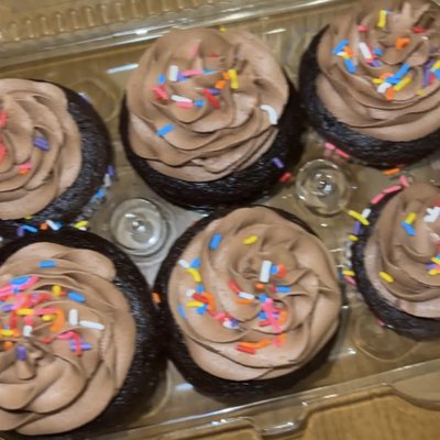 Chocolate Cupcakes
