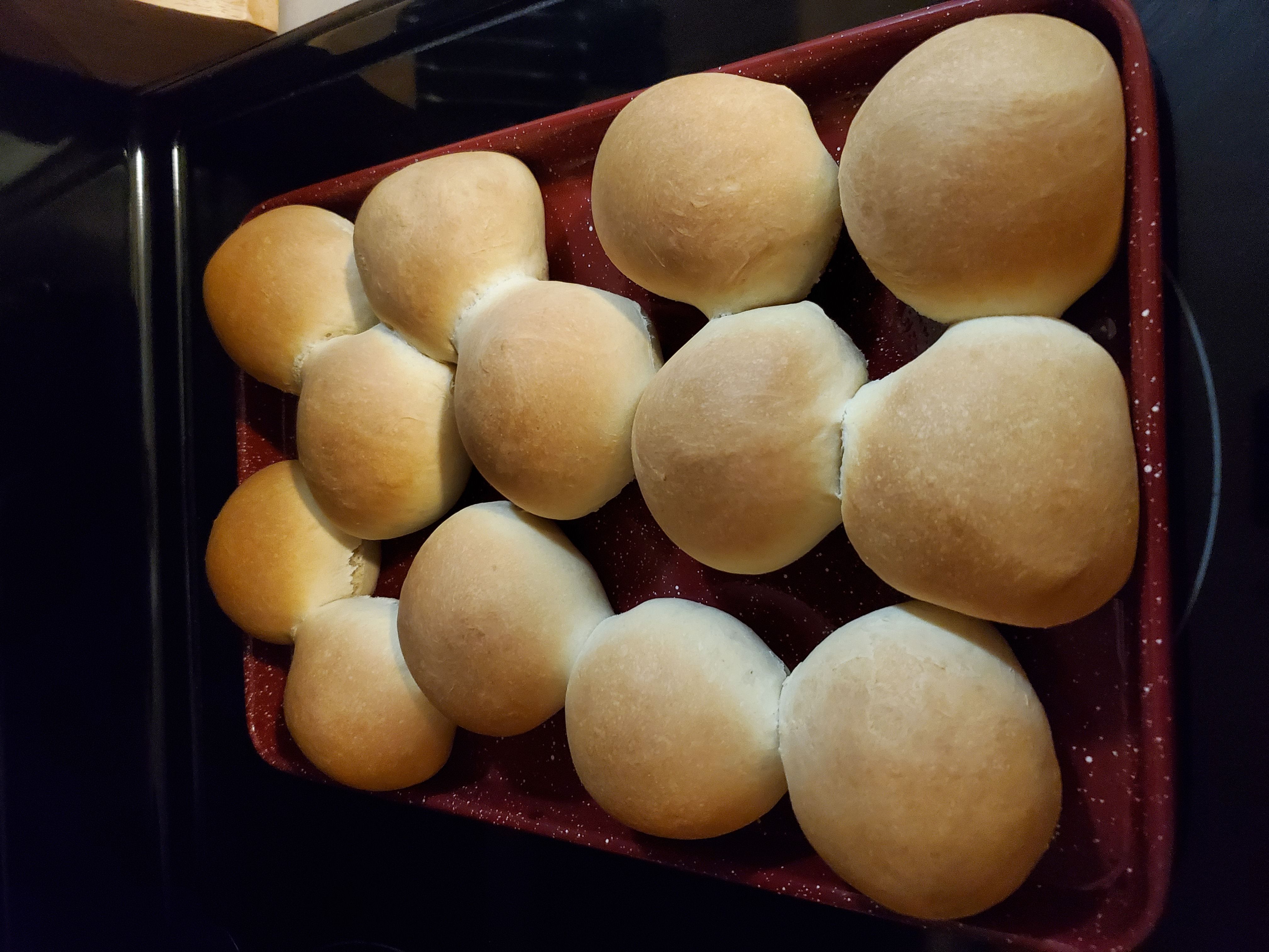 Sourdough Dinner Rolls