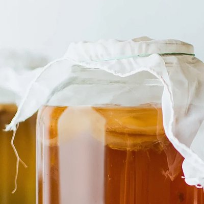 Kombucha SCOBY starter culture