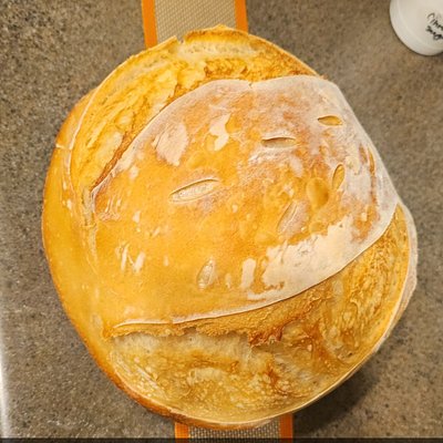 Plain Sourdough 