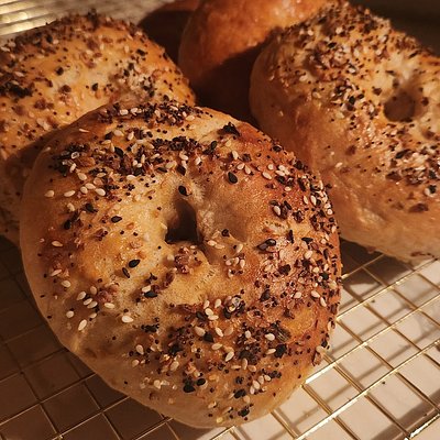 Sourdough Bagels(6)plain
