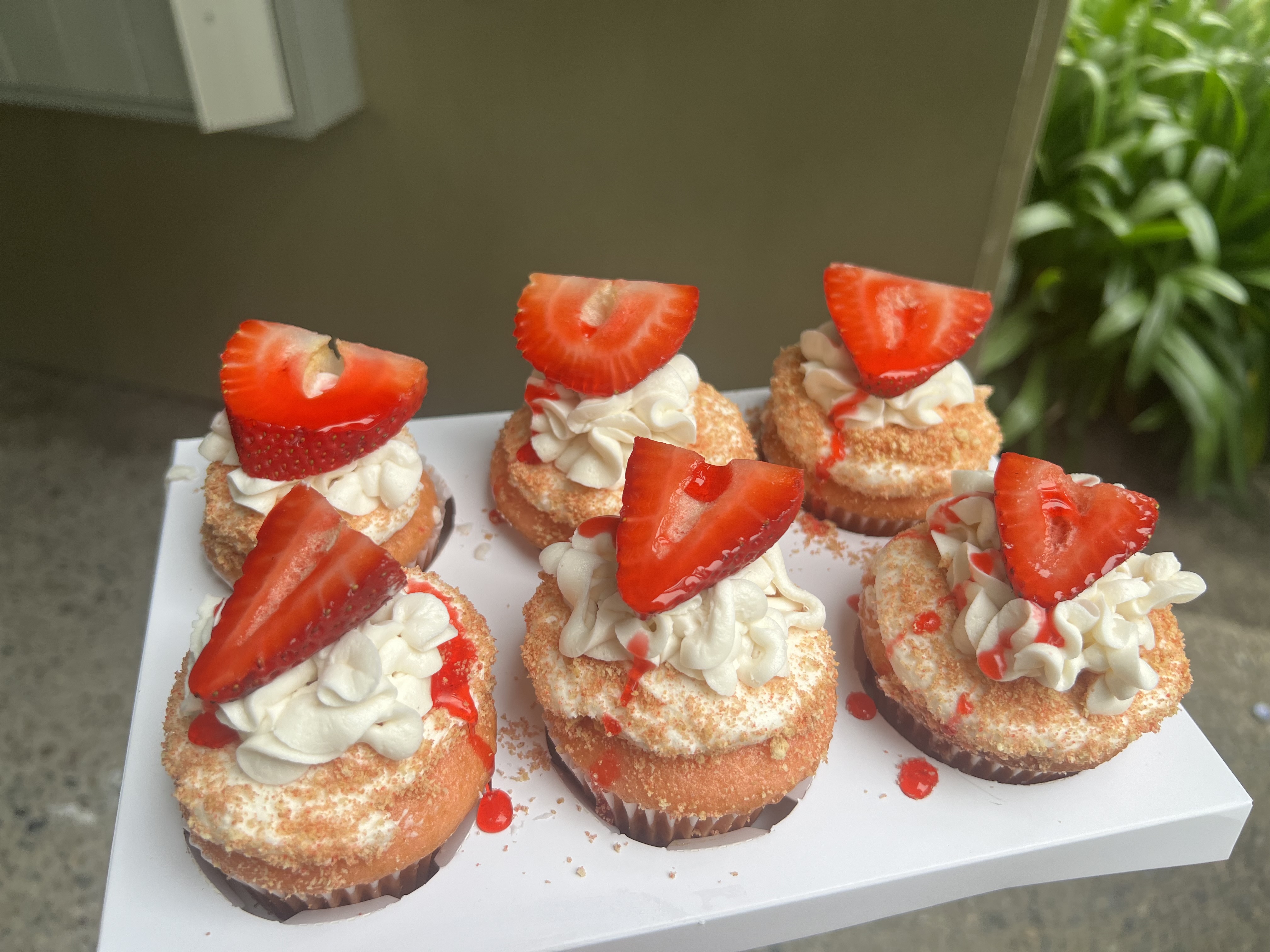 Half Dozen Cupcakes 