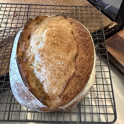 Sourdough 