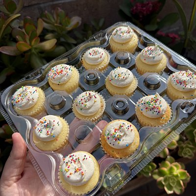 Confetti Mini Cupcakes 
