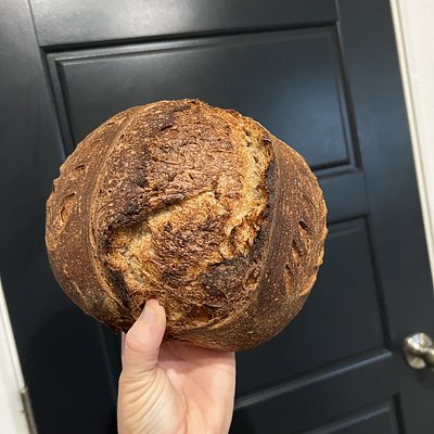 Regular Sourdough Loaf
