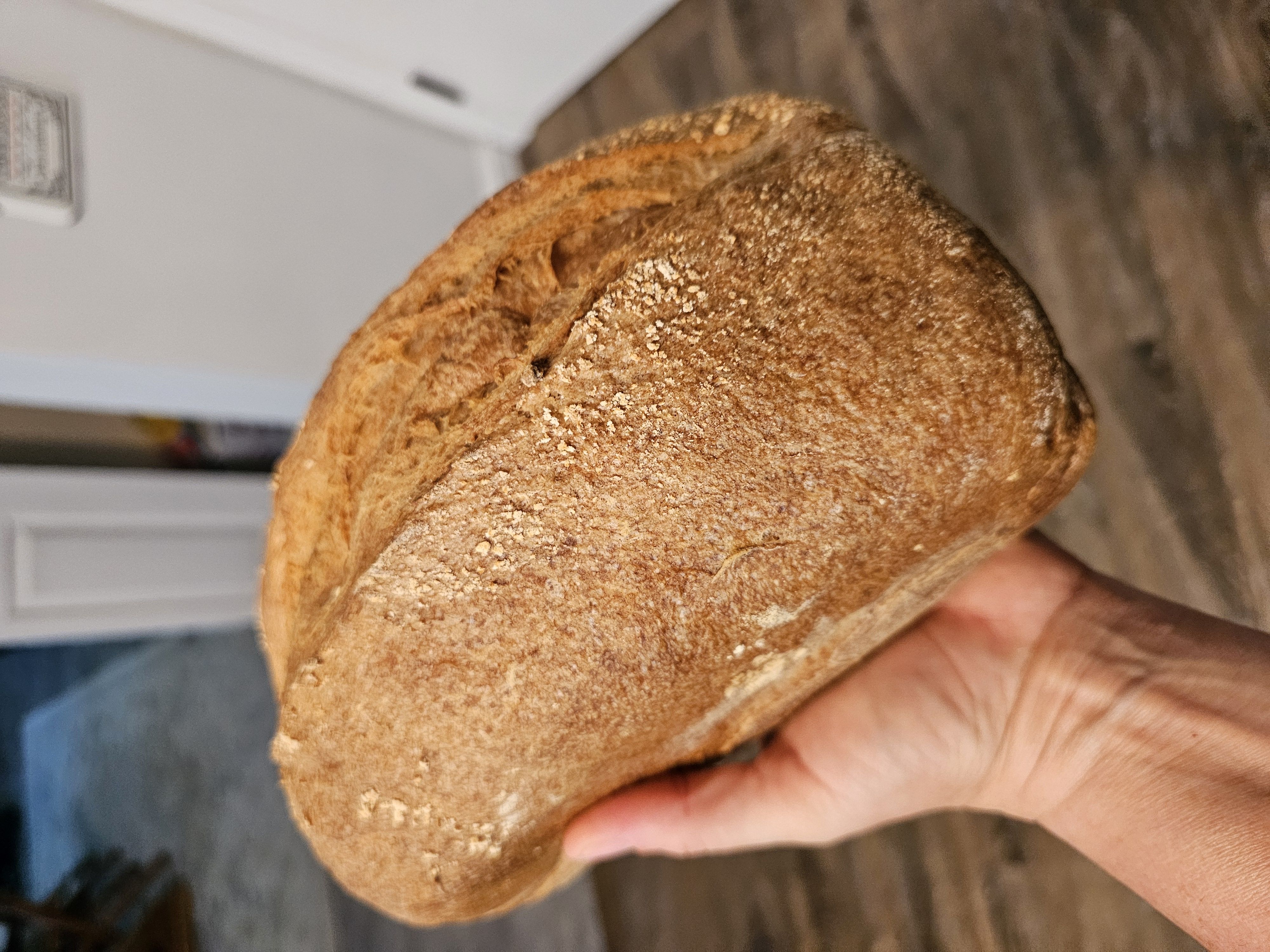 GF Sourdough