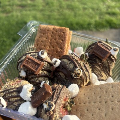 24 Strawberry S’mores 🍓🍫