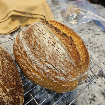 Whole Wheat Sourdough Loaf 