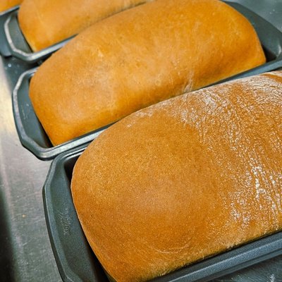 Sandwich Bread -White