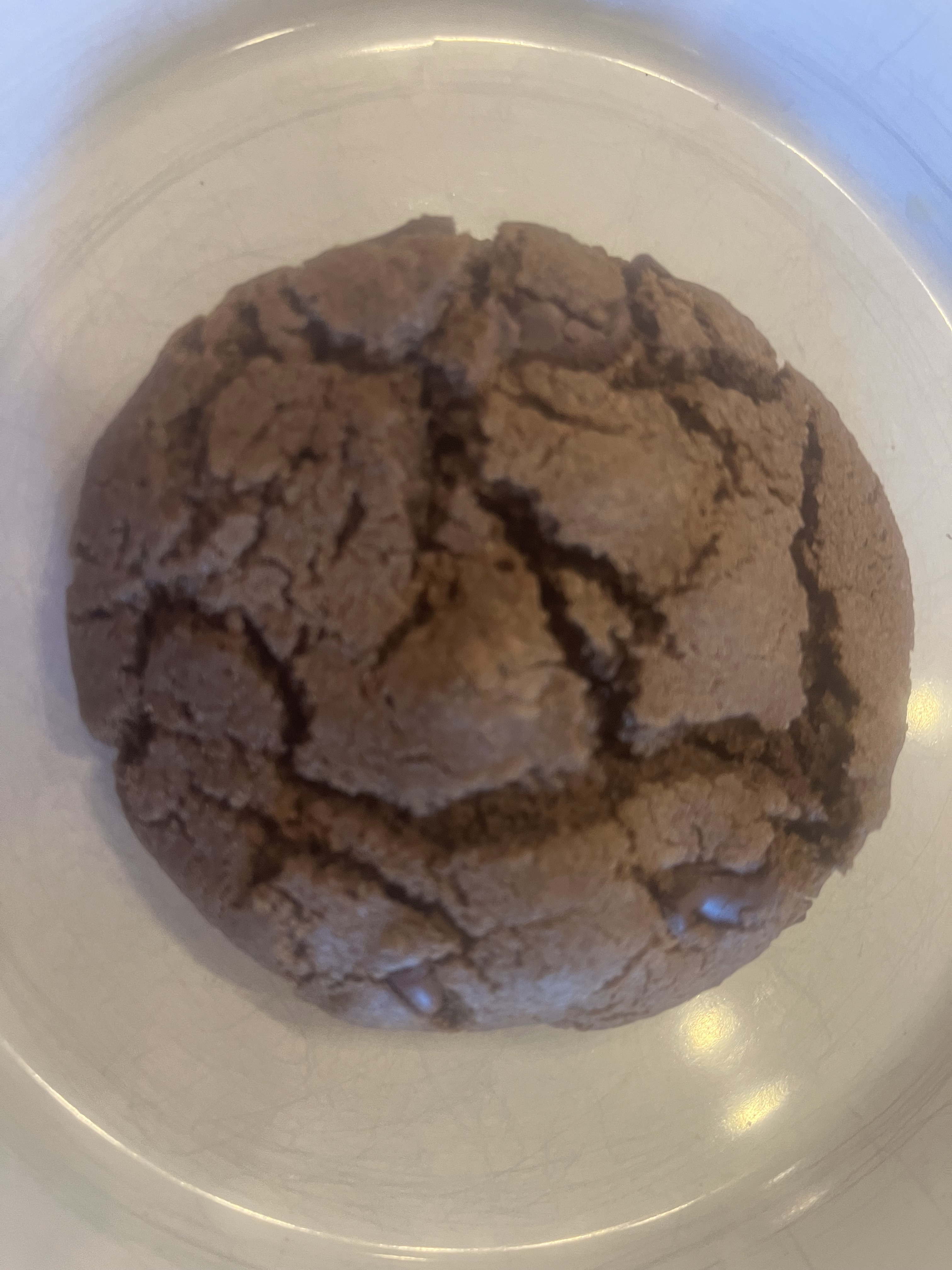 Vegan Chocolate Chocolate Chip Cookie