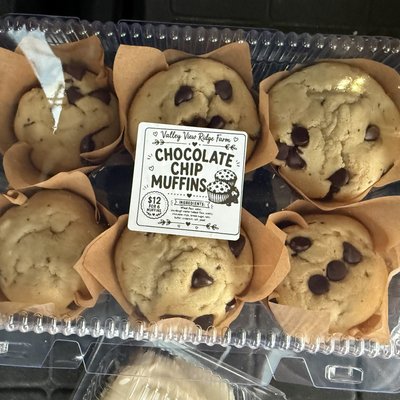 Sourdough Chocolate Chip Muffins