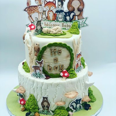 2 Tier Custom Cakes 