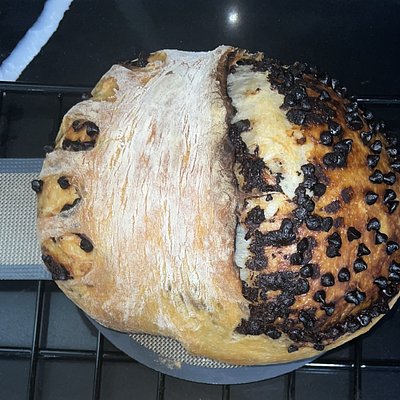 Chocolate Chip Sourdough loaf
