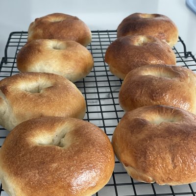 Bagels (6) - Plain