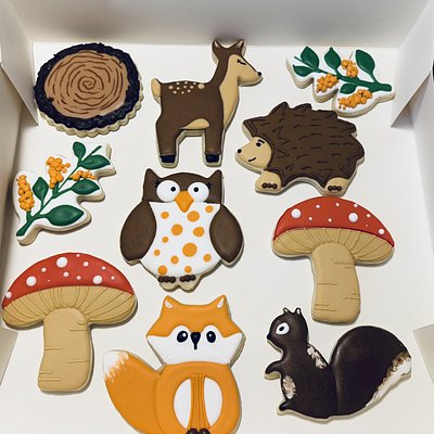 Decorated Cookies 
