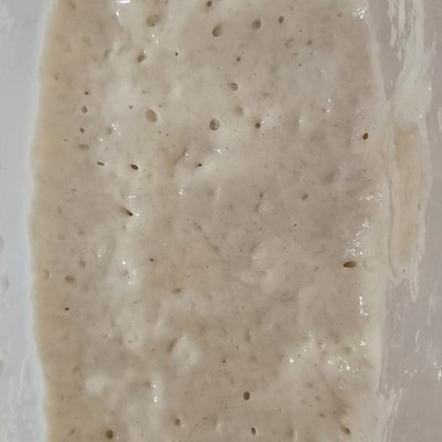 Organic Sourdough Starter 