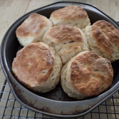 Rosemary Garlic Buttermilk Biscuits 
