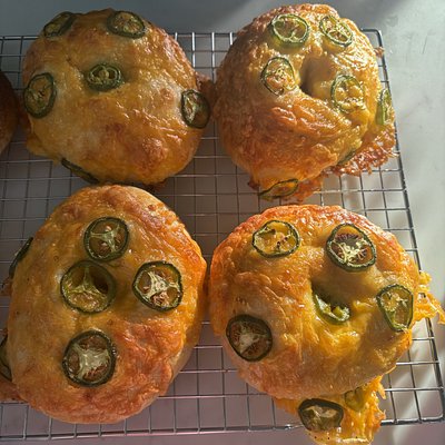 6 Pack Of Cheddar Jalapeño Sourdough Bagels 