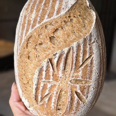 Gluten Friendly Sourdough 